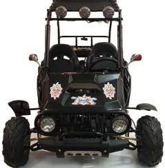 ecoimport-vente-buggy-125cc-neo-motors-pas-cher